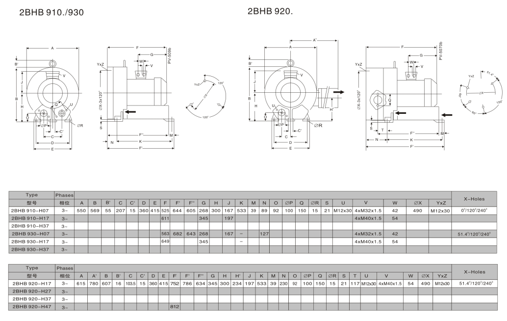 气环式真空泵尺寸图2BHB910.png